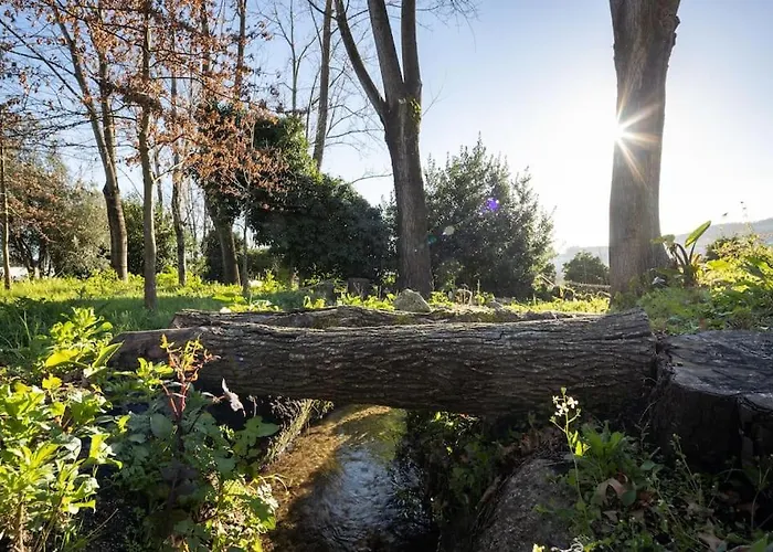 Villa Casa Briteiros Guimarães